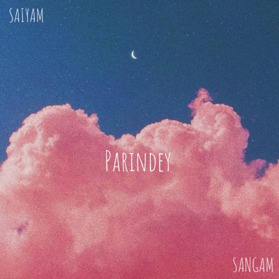 Parindey (feat. Sangam Vigyaanik) - Single