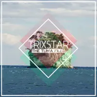 My Time to Shine (Selec Remix) — TriXstar