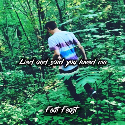 Lied and Said You Loved Me (feat. evergxrden) - Single