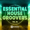 Essential House Groovers, Vol. 06