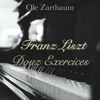 Franz Liszt: Etude En Douze Exercices (Study in Twelve Exercises), S.136