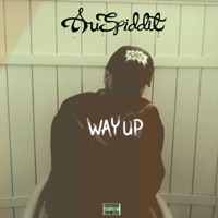 Way Up - Single - Auspiddit
