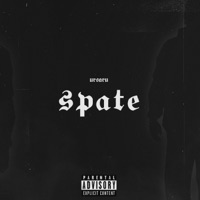 Spate - Single - Ursaru