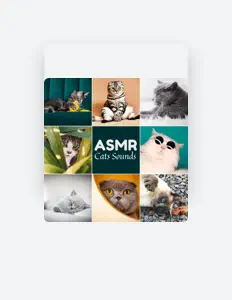 收听 Mario ASMR Studio、观看音乐视频、阅读小传、查看巡演日期等 ！
