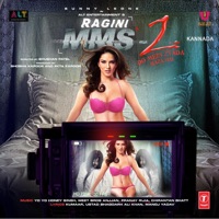 Ragini MMS 2 (Kannada) - Single - Meet Bros Anjjan & Feat. Dj Shilpi