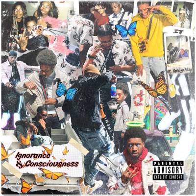 Ignorance & Consciousness