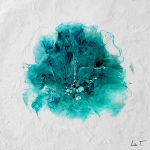 Nexus - Single