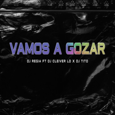 Vamos a Gozar (feat. Dj Cleiver LD & DJ Tito) - Single