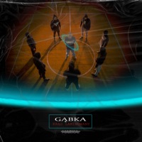 Krąg Laminowany - Gąbka