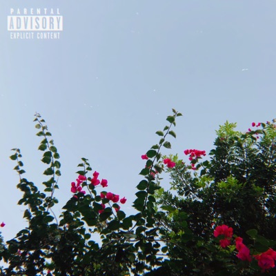 Rose - EP