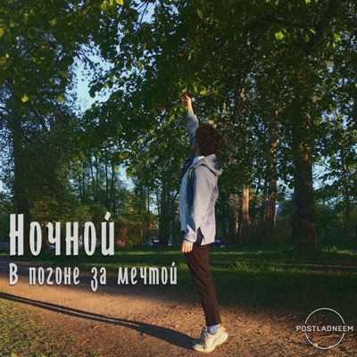 В погоне за мечтой