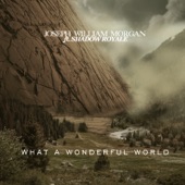 What a Wonderful World (feat. Shadow Royale) artwork