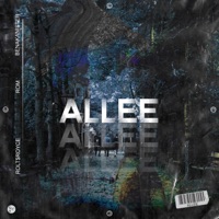 Allee (feat. Rolt$royce & Benakanister) - Single - ROM