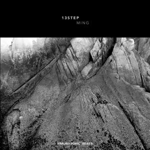 13 Step - Single
