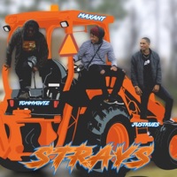 STRAYS (feat. JustKues & Tommy Gvts) - Single - Maxant