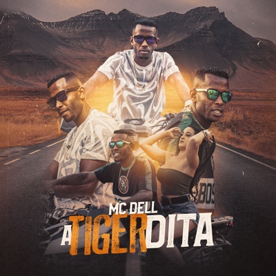 A Tiger Dita - Single