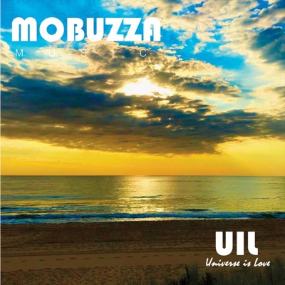 Universe Is Love (feat. Shannon Montsinger & Jason Newcomb) - Single