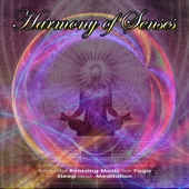 Harmony of Senses: Beautiful Relaxing Music for Yoga, Sleep and Meditation artwork