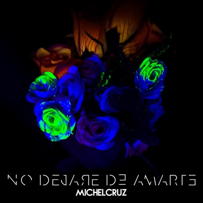 No Dejaré De Amarte - Single