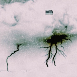 Unimportant - Single