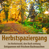 Herbstwald Naturgeräusche, Bachrauschen & Entspannungsmusik pur, Teil 2 - Birgit Lindlau-Kreutz, Torsten Abrolat & SyncSouls