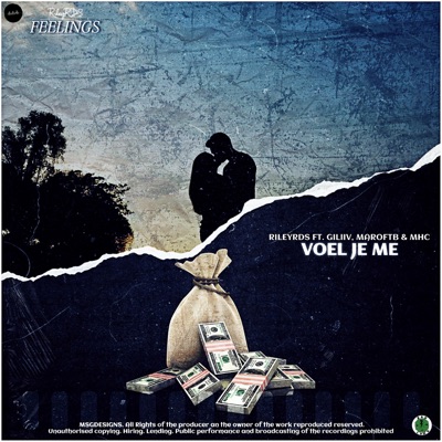 Feelings/Voel Je Me? - Single