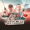 Princesa Gata (feat. mc nick zl) - Single