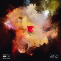 Розы - Single - SDVG