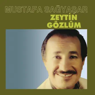 Duydum Ki Unutmuşsun by Mustafa Sağyaşar song reviws