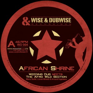 African Shrine (feat. The Afro Wild Section) - Single