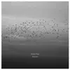 Ravens