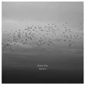 Ravens