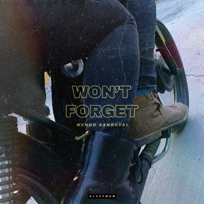 Won't Forget - Single