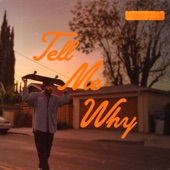 Tell Me Why (feat. Sabri) artwork