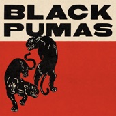 Black Pumas - Ain't No Love in the Heart of the City