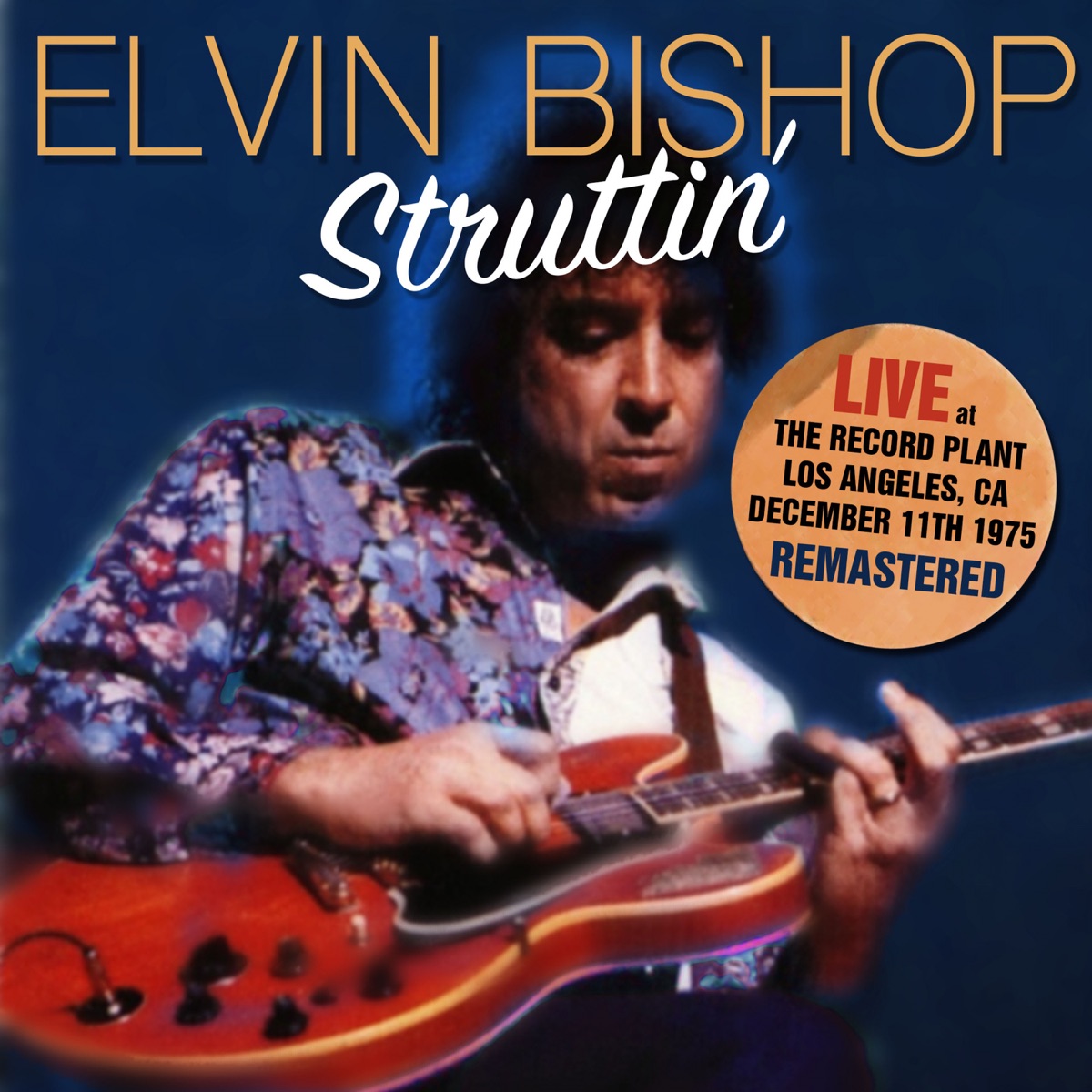 Sure Feels Good - The Best of Elvin Bishop - エルヴィン