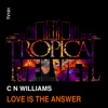 Love Is the Answer cover art