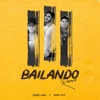 Bailando (Remix) - Single