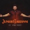 Eu Amo Você - Junior Gardinni lyrics