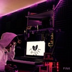 P I N K