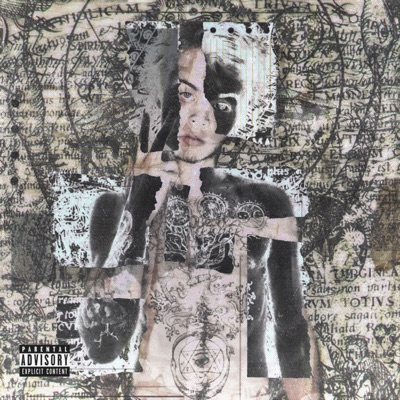 В.О.Г. или примитивная аутофагия репродуктивного аспекта