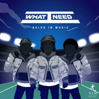 What I Need - Single - Balrs in Music