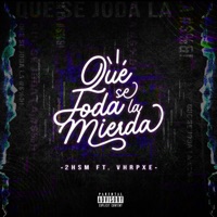 Que se joda la mierda (feat. Vhrpxe) - Single - 2hsm