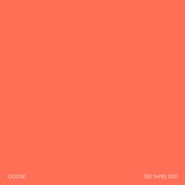 Goose - Camino I