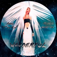 Wonderful - Single - Abel the Kid & Raul Ortiz