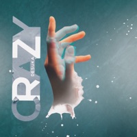 Crazy - Single - Desuka