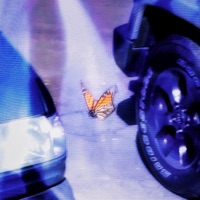 Missing U - Single - Ghostin