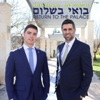 Boee Beshalom: Return to the Palace (feat. Avi Wisnicki) - Single - Ari Goldwag