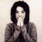 Björk - Aeroplane
