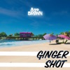 Ginger Shot - Single